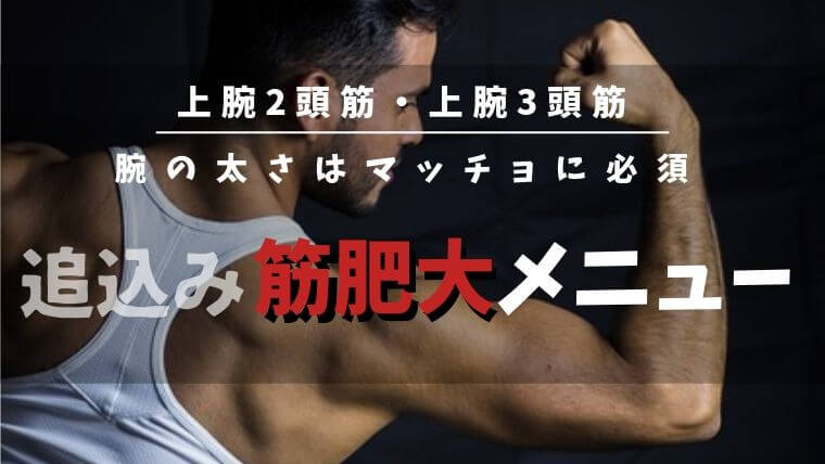 上腕2頭筋3頭筋筋肥大